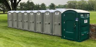 Best Portable Restroom Maintenance and Cleaning  in Gorevle, IL